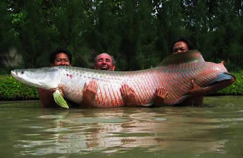 de prin lume  :) - lung.jpg